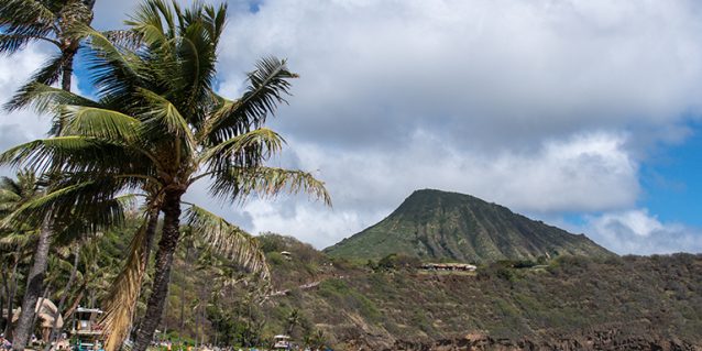 <a href="https://auditor.hawaii.gov/most-recent/25-07-audit-of-the-hawaii-tourism-authority/">25-07, Audit of the Hawai‘i Tourism Authority<br /><span>Read More<span class="fa3icon icon-signin"></span></span></a>